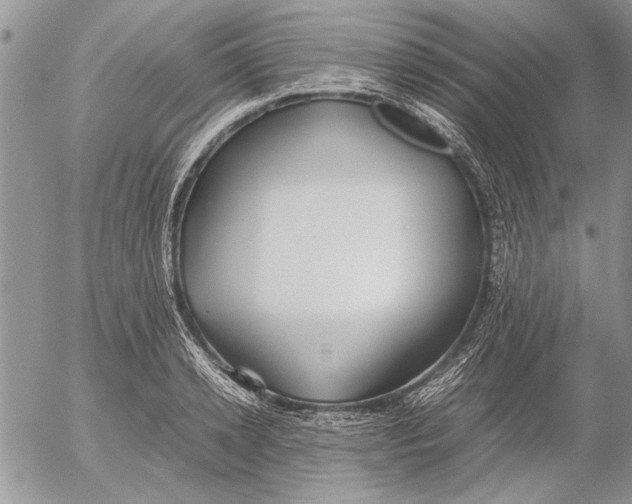 X0000053010942200507291704