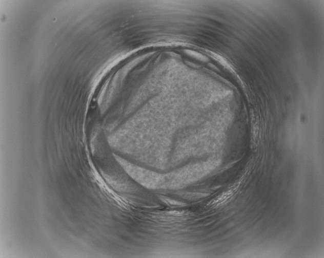 X0000053010943200507291704