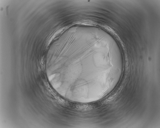 X0000053010945200507291704