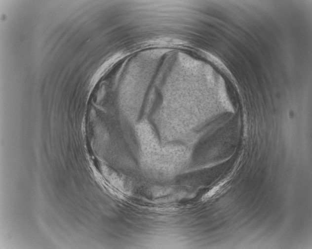 X0000053010946200507291704