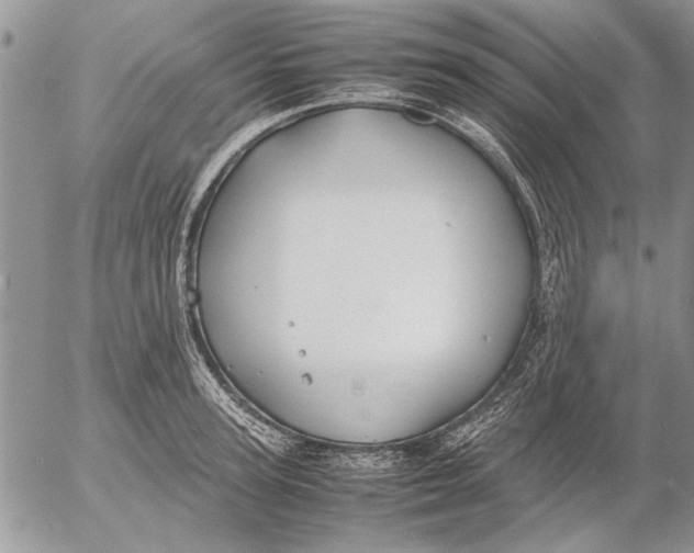 X0000053010947200507291704