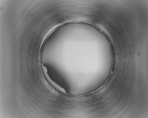 X0000053010948200507291704