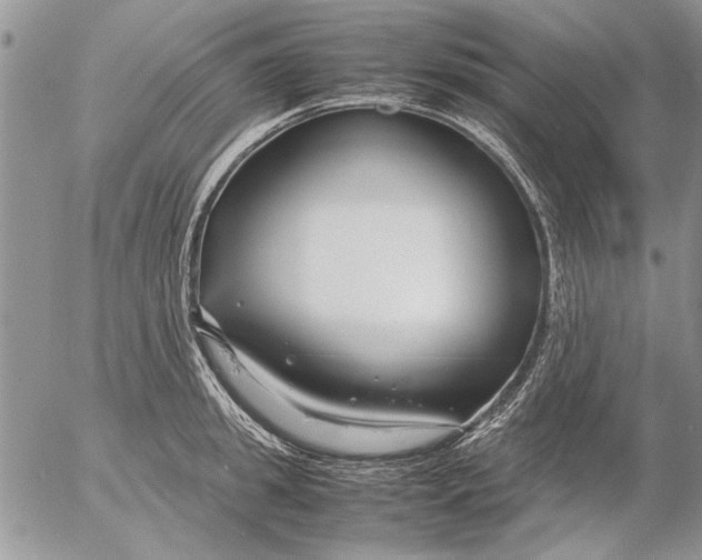 X0000053010949200507291704