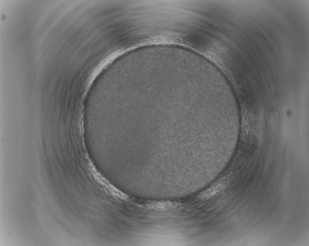 X0000053010950200507291704