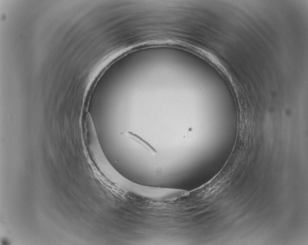 X0000053010951200507291704