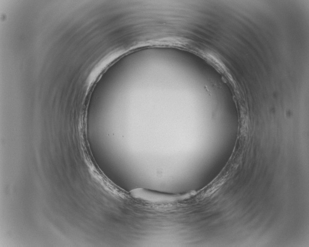 X0000053010952200507291704