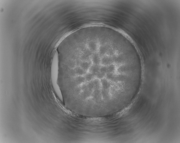 X0000053010953200507291704