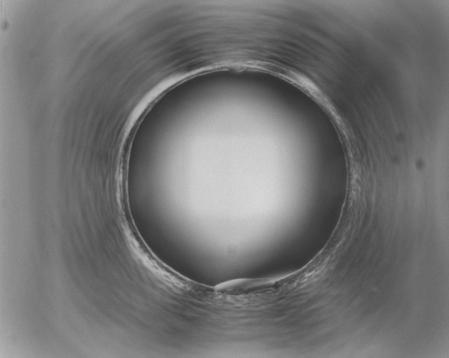 X0000053010955200507291704