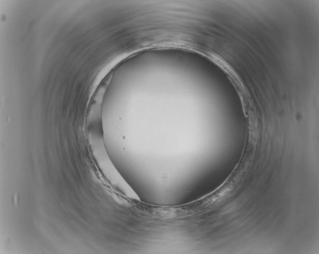 X0000053010956200507291704