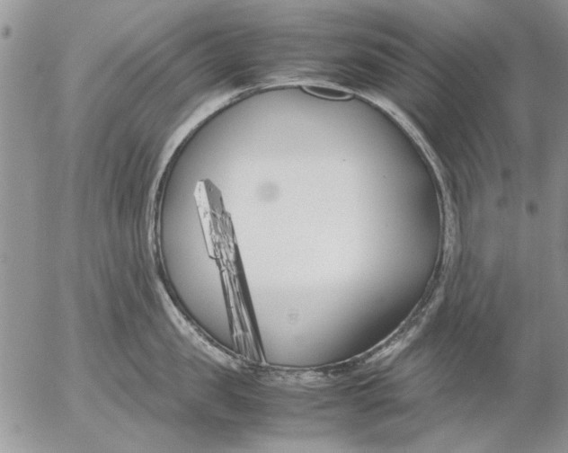 X0000053010957200507291704