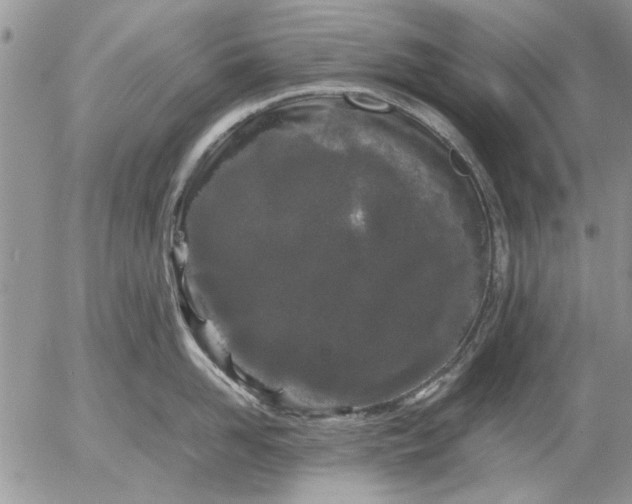 X0000053010958200507291704