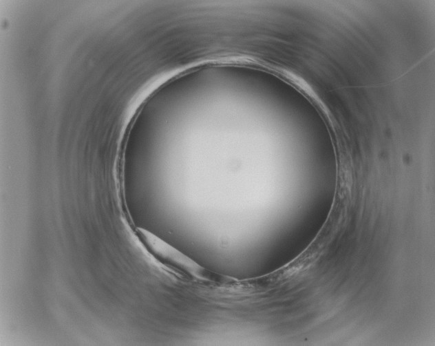 X0000053010959200507291704