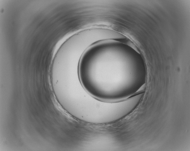 X0000053010960200507291704