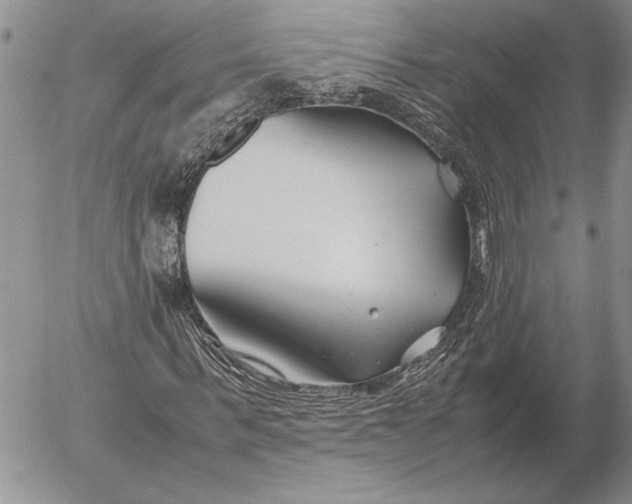 X0000053010963200507291704