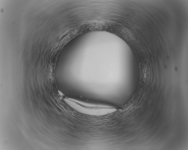 X0000053010964200507291704