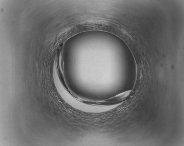 X0000053010965200507291704