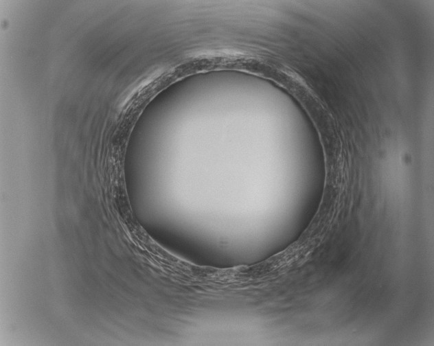 X0000053010967200507291703