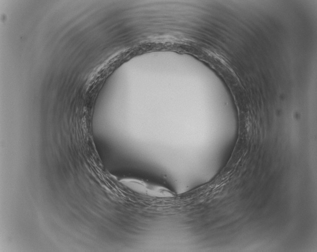 X0000053010968200507291703