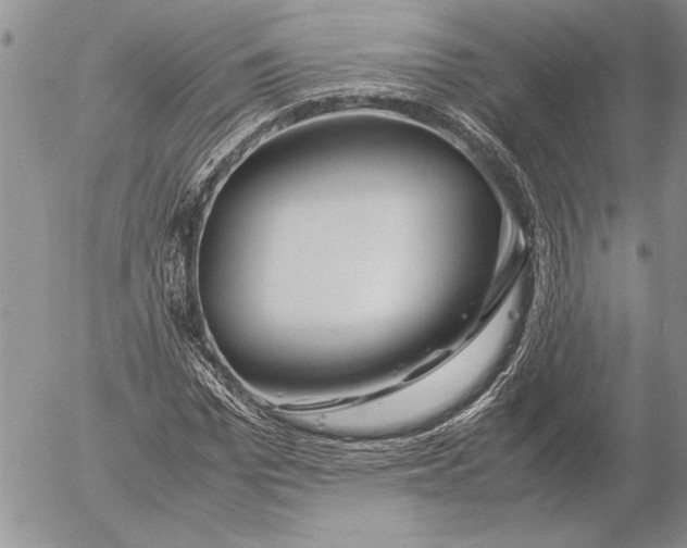 X0000053010969200507291703