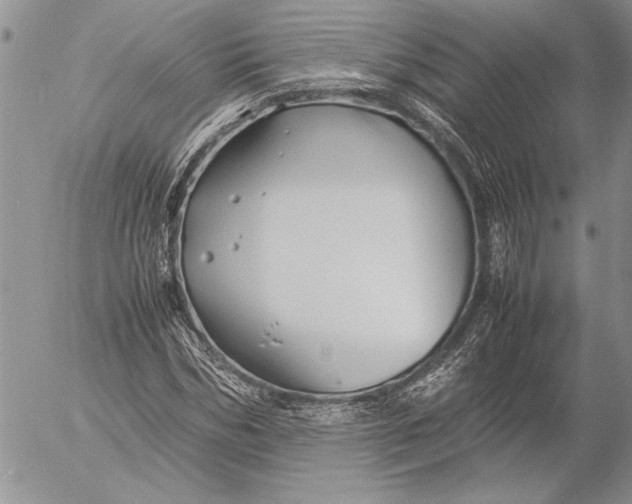 X0000053010970200507291703