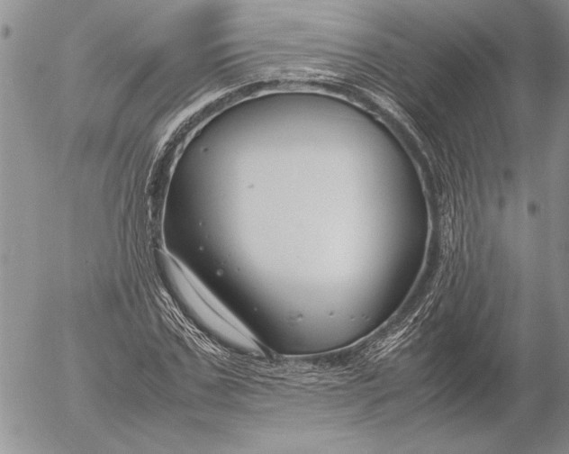 X0000053010971200507291703