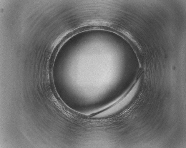 X0000053010972200507291703