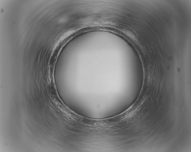 X0000053010974200507291703