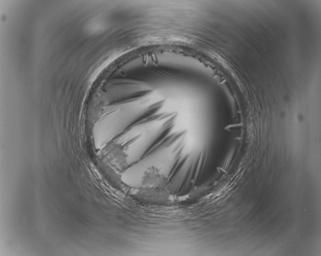 X0000053010975200507291703