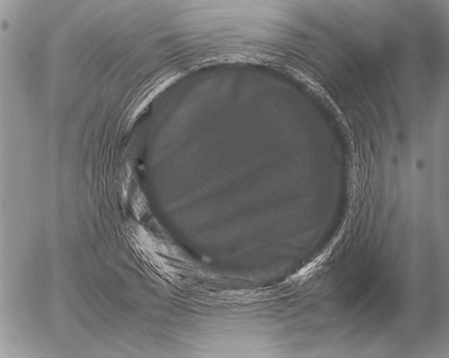 X0000053010977200507291703