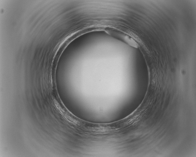 X0000053010980200507291703