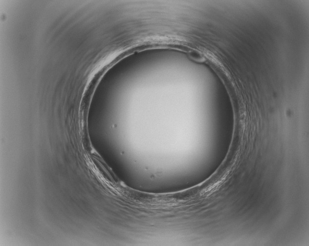 X0000053010981200507291703