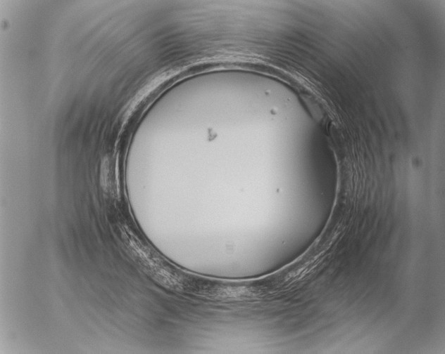 X0000053010982200507291703