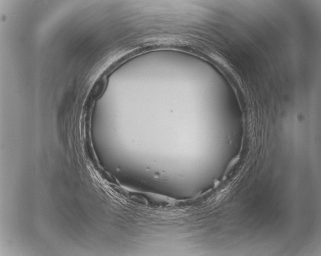 X0000053010983200507291703