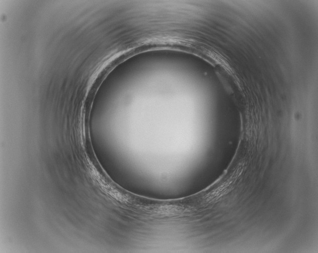 X0000053010984200507291703