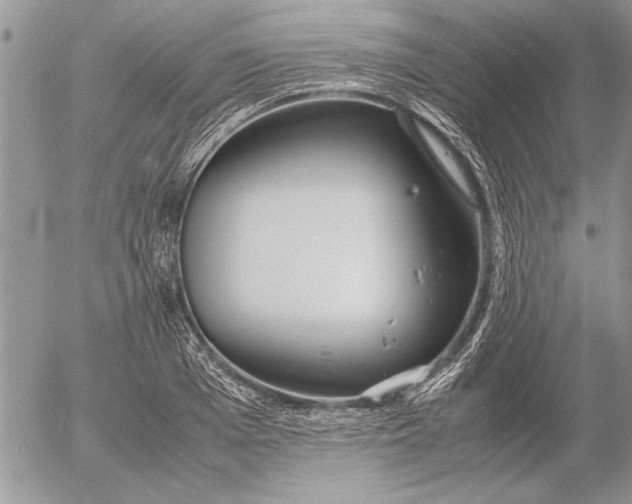 X0000053010985200507291703