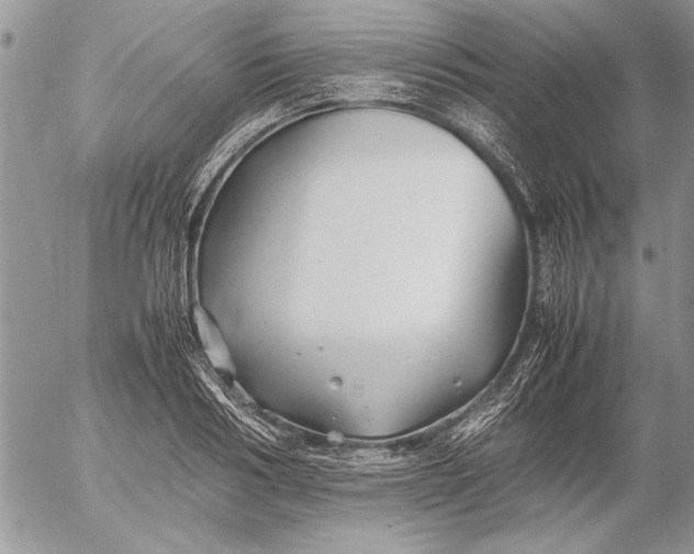 X0000053010986200507291703