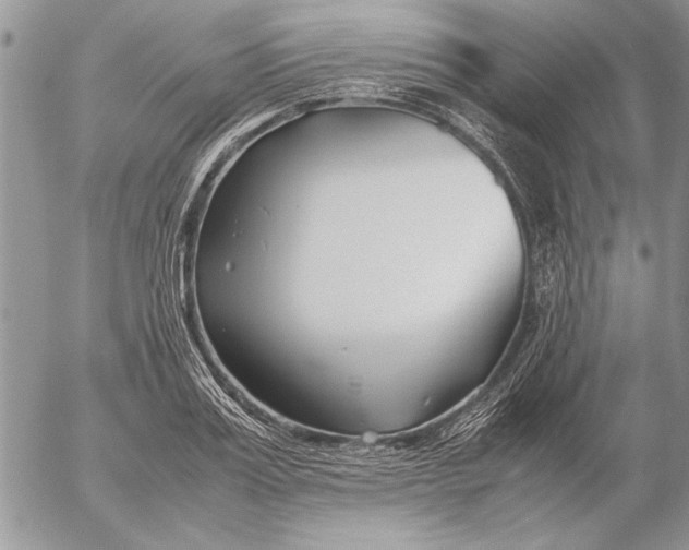 X0000053010987200507291703