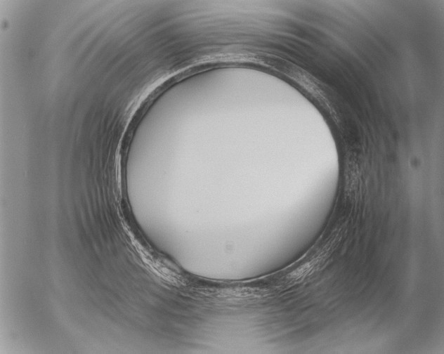 X0000053010988200507291703