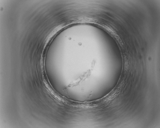 X0000053010990200507291703