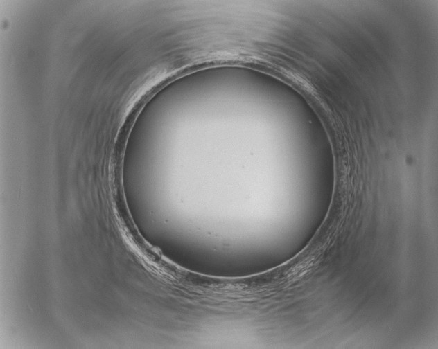 X0000053010991200507291703