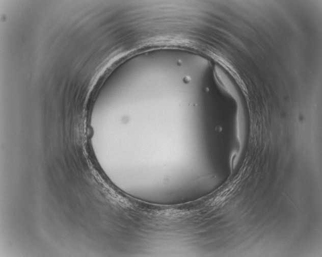 X0000053010992200507291703