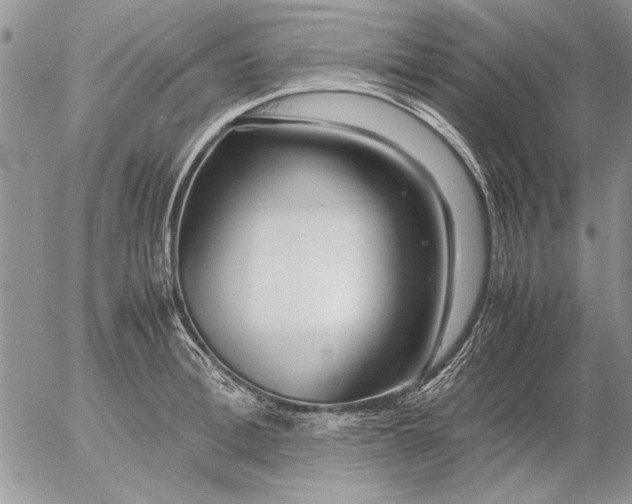 X0000053010996200507291703