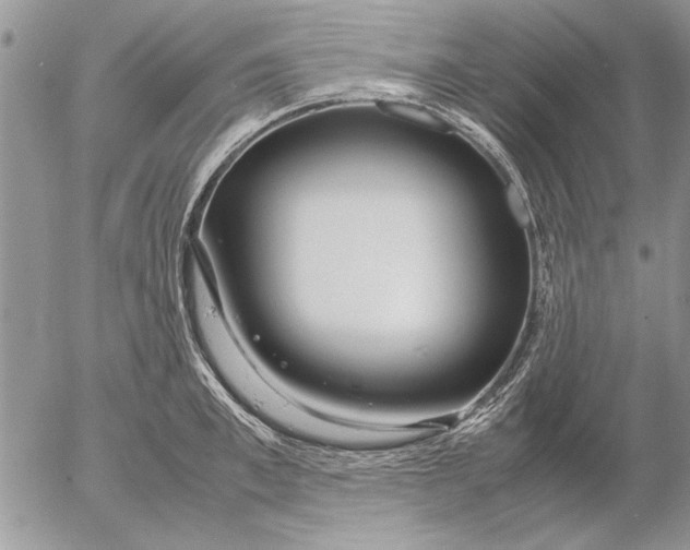 X0000053010997200507291703