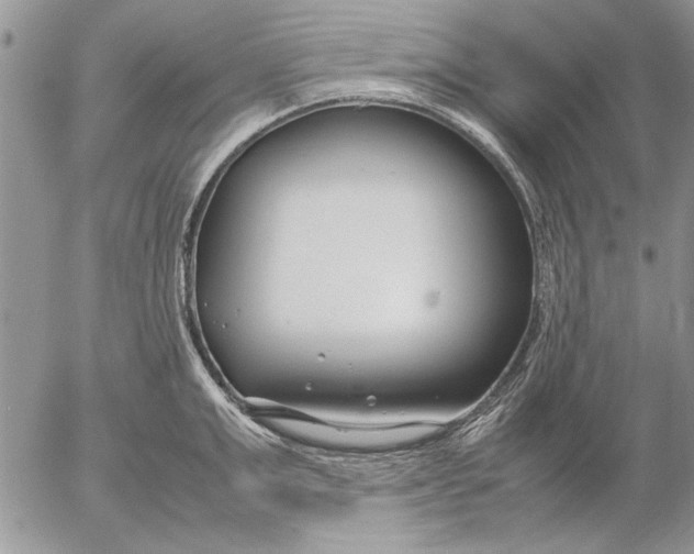 X0000053010999200507291703