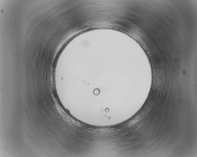 X0000053011000200507291703