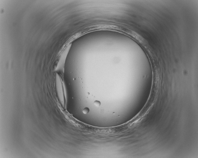 X0000053011001200507291703