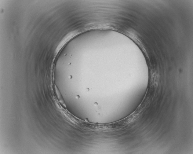 X0000053011002200507291703