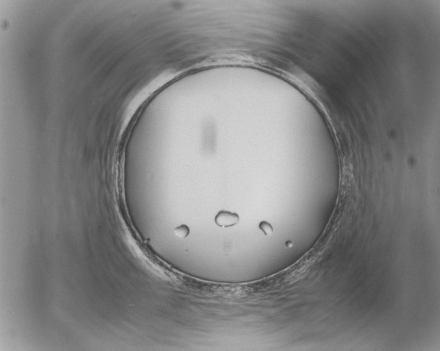 X0000053011003200507291703