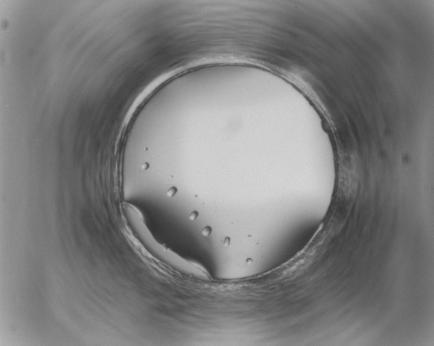 X0000053011004200507291703