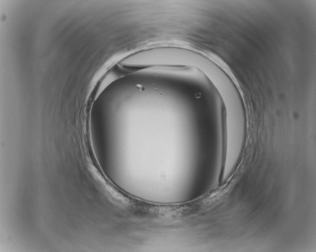 X0000053011005200507291703